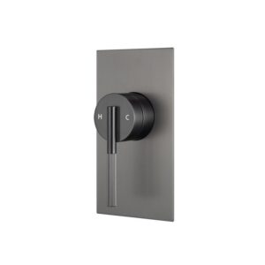 CADDENCE – Brushed Gunmetal Wall Mixer