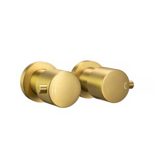 Brushed Brass Wall Tap