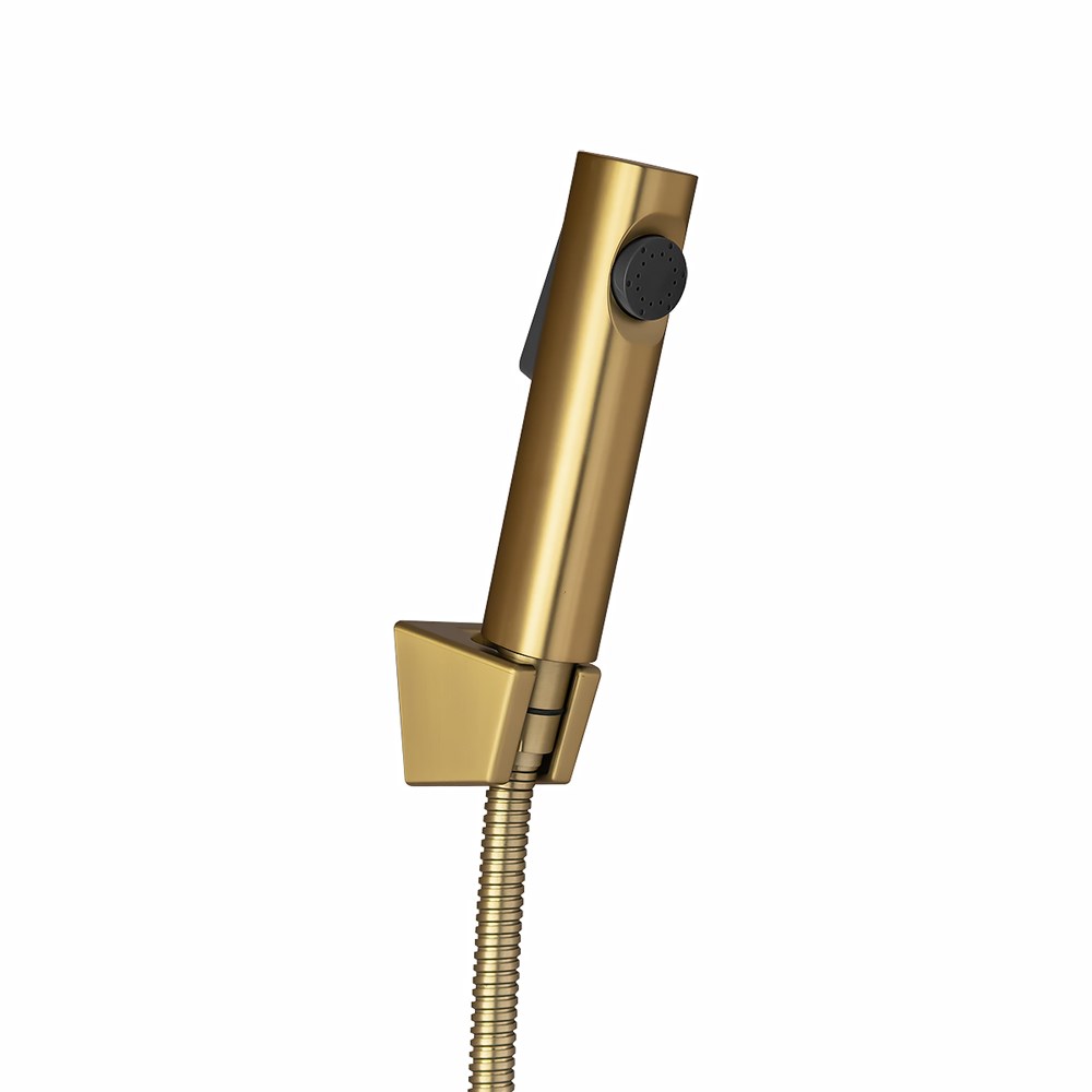 Brushed Brass ABS Toilet Bidet