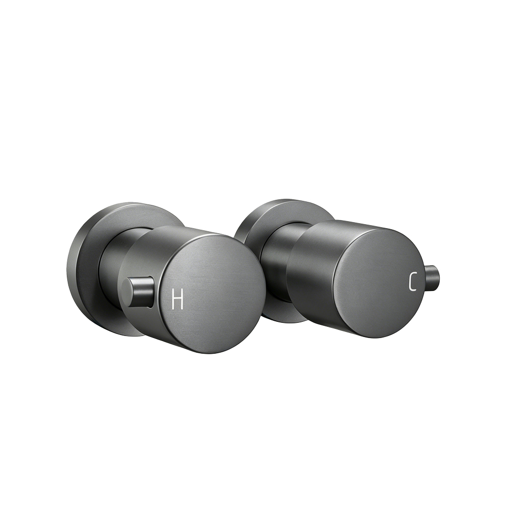 Gunmetal Wall Tap