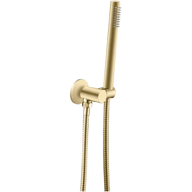 Light Brushed Brass Shower Rail with Handheld Shower