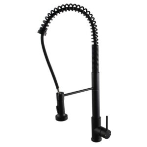 Black Pull Out Kitchen Mixer